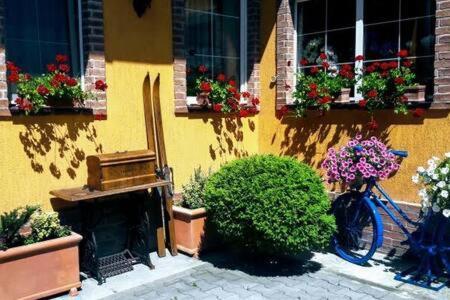 Atrium 24 Suite Sighişoara Exterior foto
